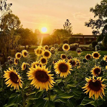 Quirindi Sunflower Motor Inn Экстерьер фото